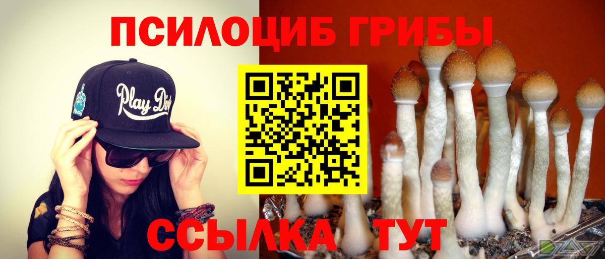 Глазов  Галлюциногенные грибы Cubensis  Вход с VPN 